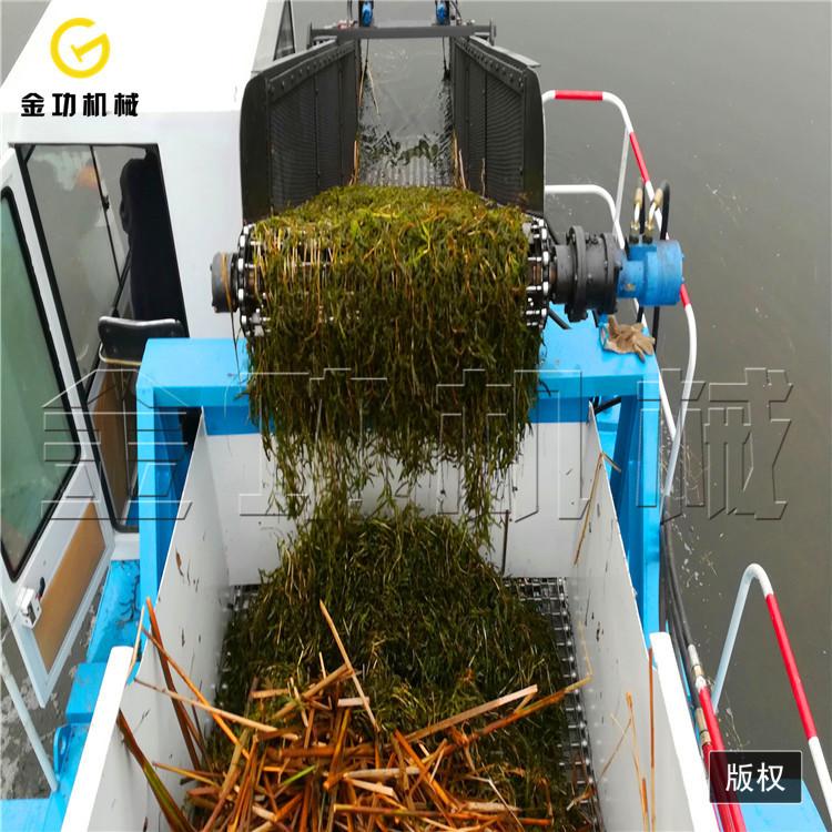 中型全自动割草船水葫芦打捞船 厂家电话 水面垃圾打捞船