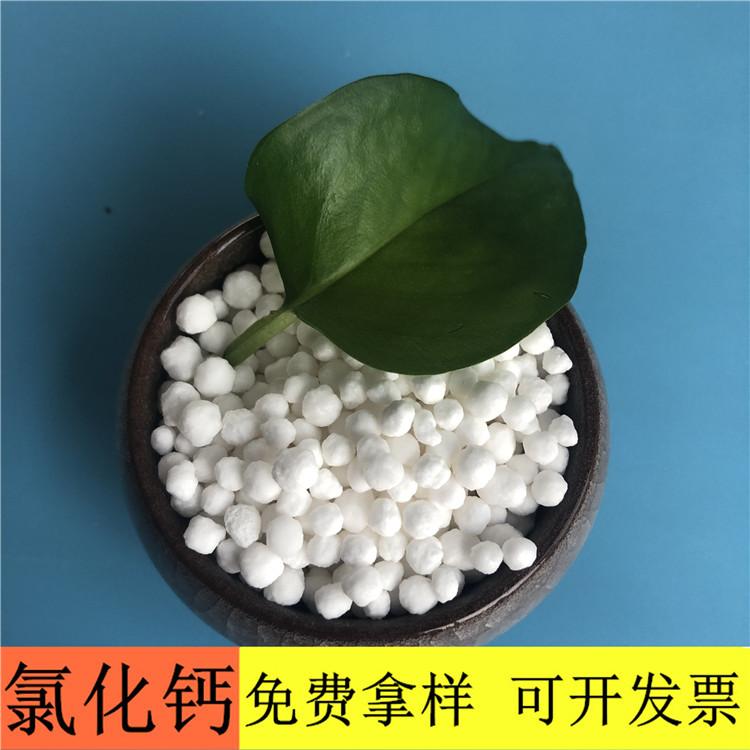 氯化钙 达康化工工厂直销二水氯化钙光球 氯化钙的价格