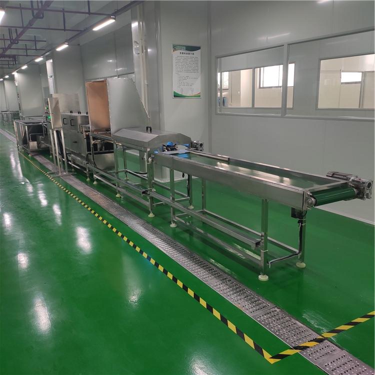 全自动商用洗蛋机  单排双排洗蛋机支持定制  洗蛋机厂家直供