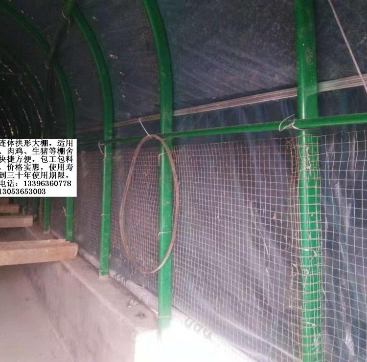 蛋鸡 养猪养殖大棚热镀锌椭圆管