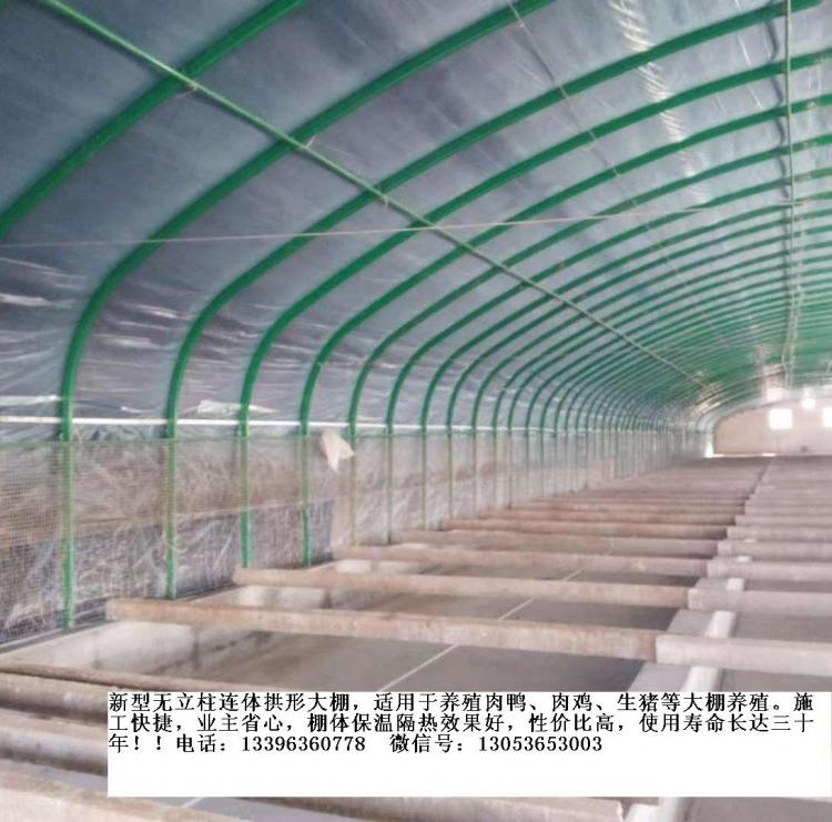 养猪大棚朗德鹅温室养殖大棚