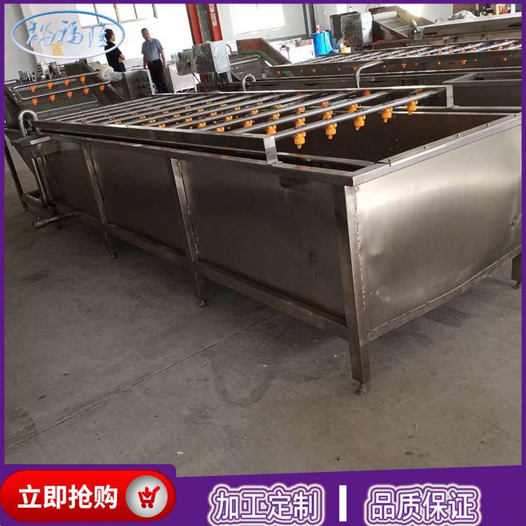 河北茎叶清洗  果蔬清洗机厂家定制  蓝莓果蔬清洗机