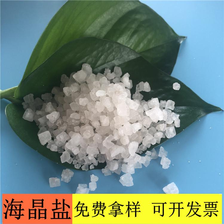 海晶盐 厂家直销工业用海晶盐工业盐 99含量海晶盐批发价格
