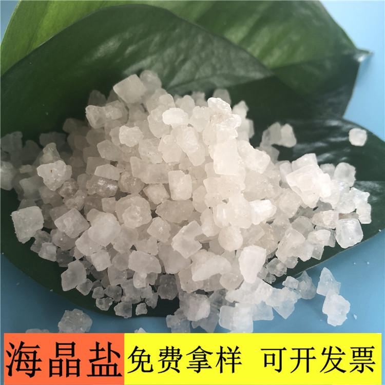 海晶盐 达康化工厂家直销工业级海晶盐 99含量海晶盐价格