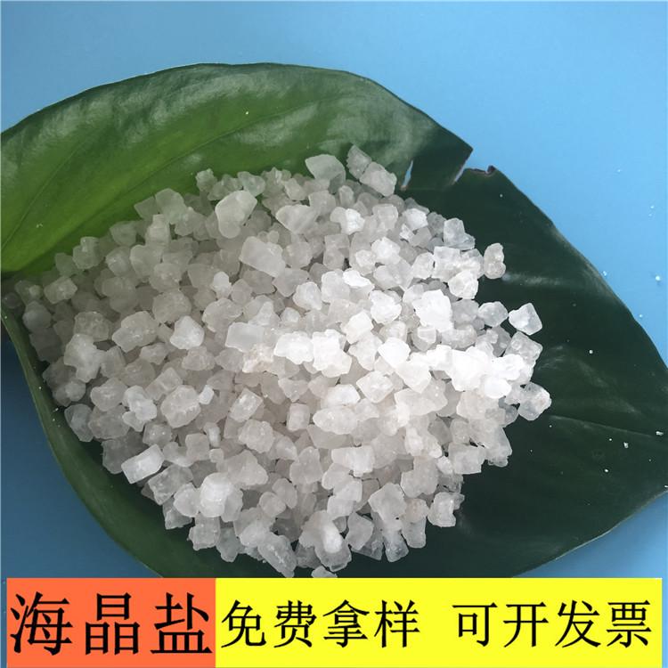 海晶盐 达康化工厂家直销工业级海晶盐 工业用海晶盐价格