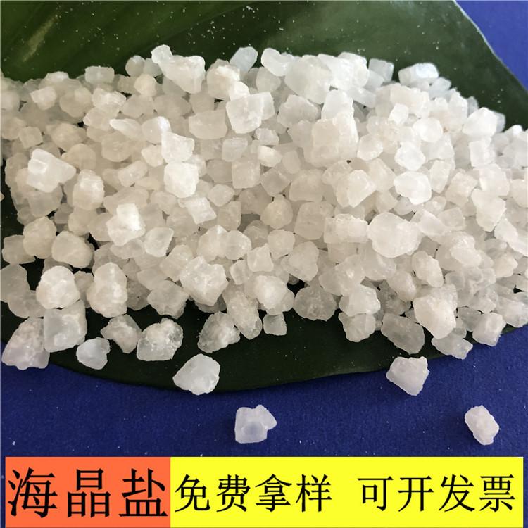 海晶盐 达康化工专业生产工业盐海晶盐 99含量海晶盐价格