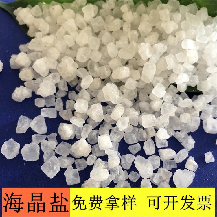 海晶盐 达康化工厂家直销99含量工业盐海晶盐 海晶盐价格