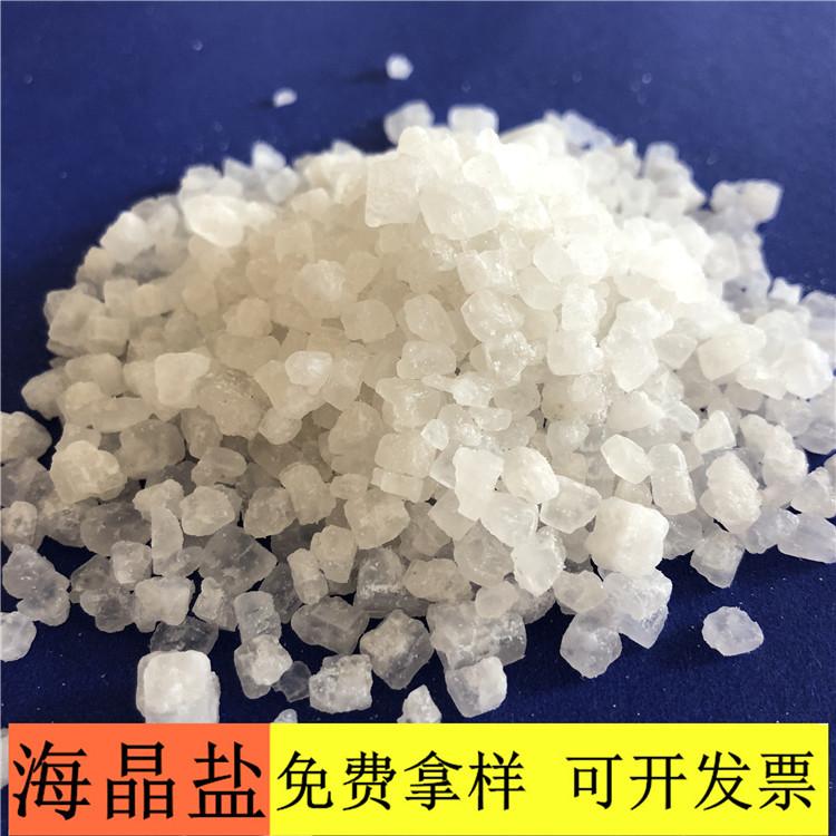 海晶盐 达康化工厂家直销工业级海晶盐 99含量工业盐海晶盐价格
