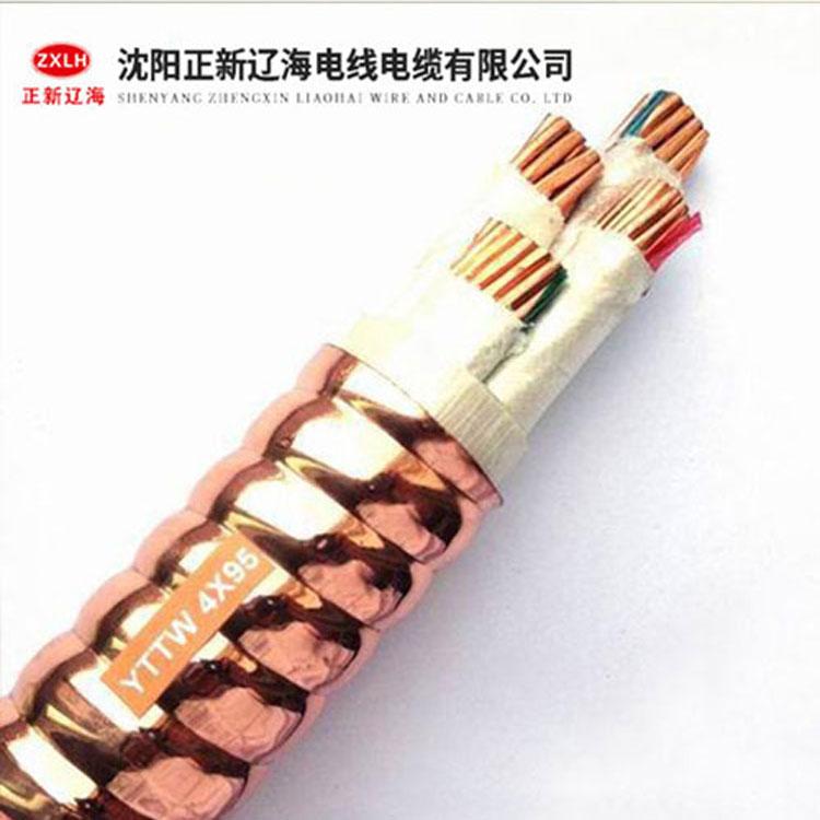 长春电线电缆 yttw防火电缆 特种电缆型号