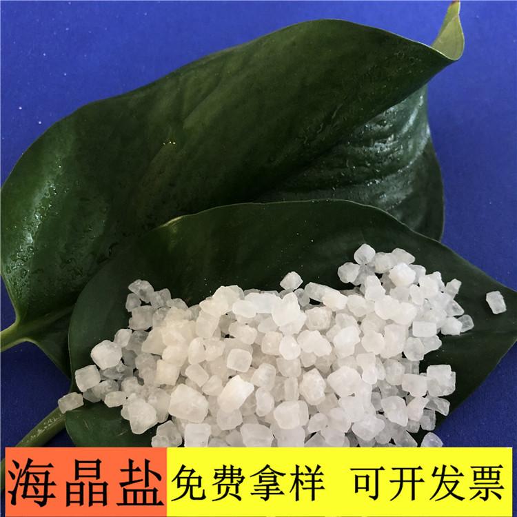 海晶盐 达康化工厂家直销99含量工业级海晶盐 海晶盐的价格