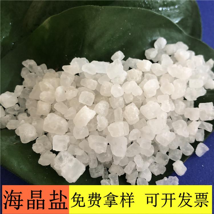 海晶盐 达康化工专业生产99含量工业盐海晶盐 海晶盐的价格