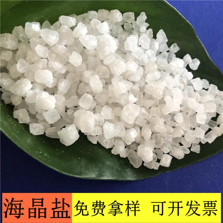 海晶盐 达康化工厂家直销工业级99含量海晶盐 海晶盐价格