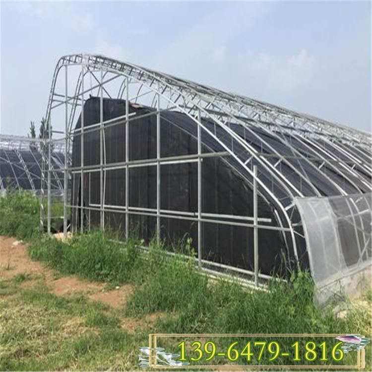 2020年花卉温室大棚价格 蔬菜大棚图片 新型草莓采摘园大棚建造