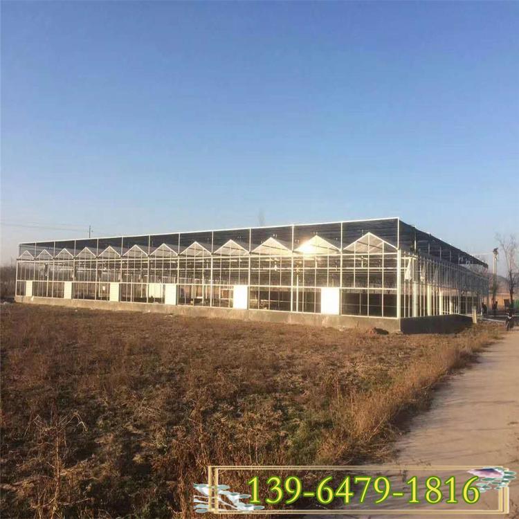 1亩玻璃大棚建设成本 温室大棚配件生产厂家 生态餐厅建造