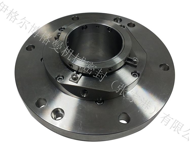供应自贡工业泵ZBG重型化工泵 50ZBG-400机械密封 自贡工业泵ZBG重型化工泵 50ZBG-400机械密封批发 张家港机械密封 源头厂家  非标定制 量大从优 品质保证