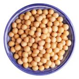 高蛋白质大豆种子  厂家直销 高蛋白大豆原粮 颗粒饱满 品质优