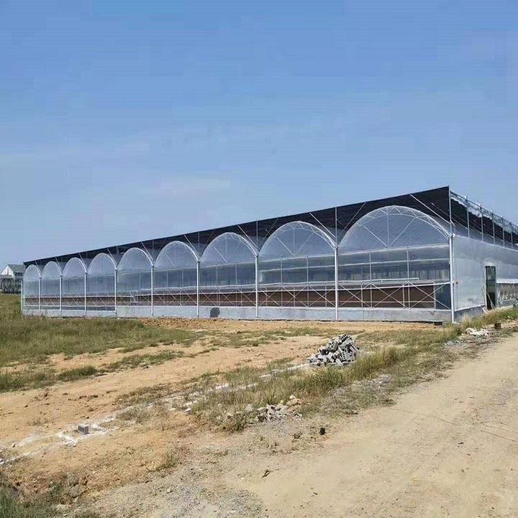 定做温室大棚骨架  连栋温室大棚  连栋智能温室大棚