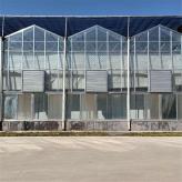 玻璃温室大棚报价 搭建玻璃温室 玻璃温室花卉育苗大棚