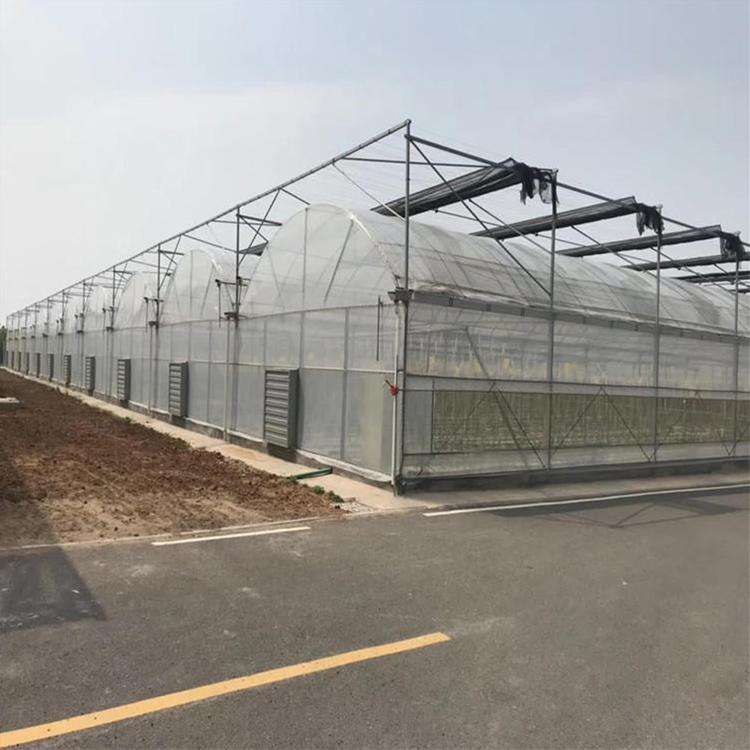 温室大棚 温室工程 智能温室 薄膜温室大棚农业项目承接 北方园艺温室