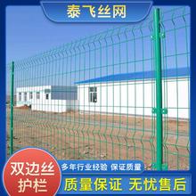 泰飞丝网 圈地双边丝护网 双边丝护网 浸塑公路护栏生产厂家