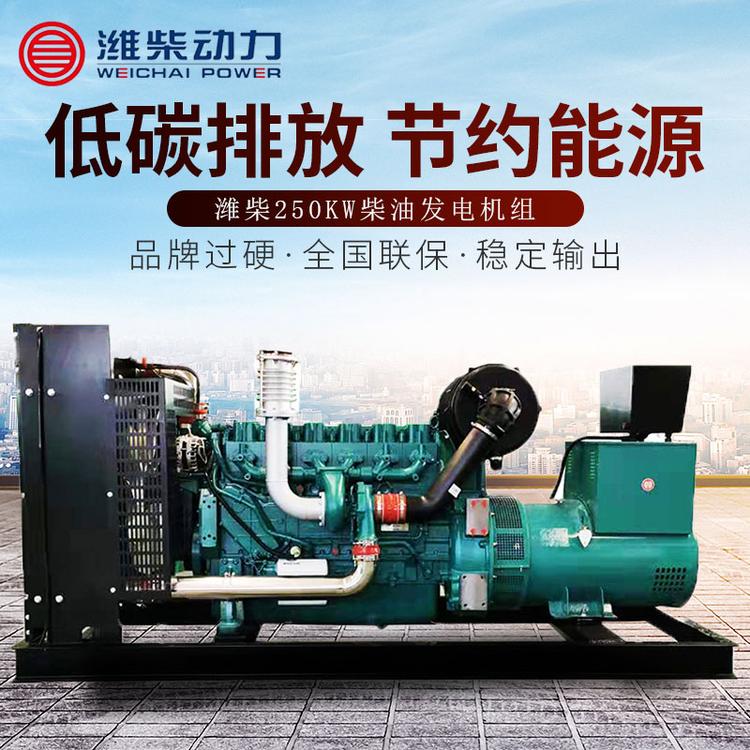 厂家供应潍坊250kw静音柴油发电机组应急发电机小型发电机250千瓦