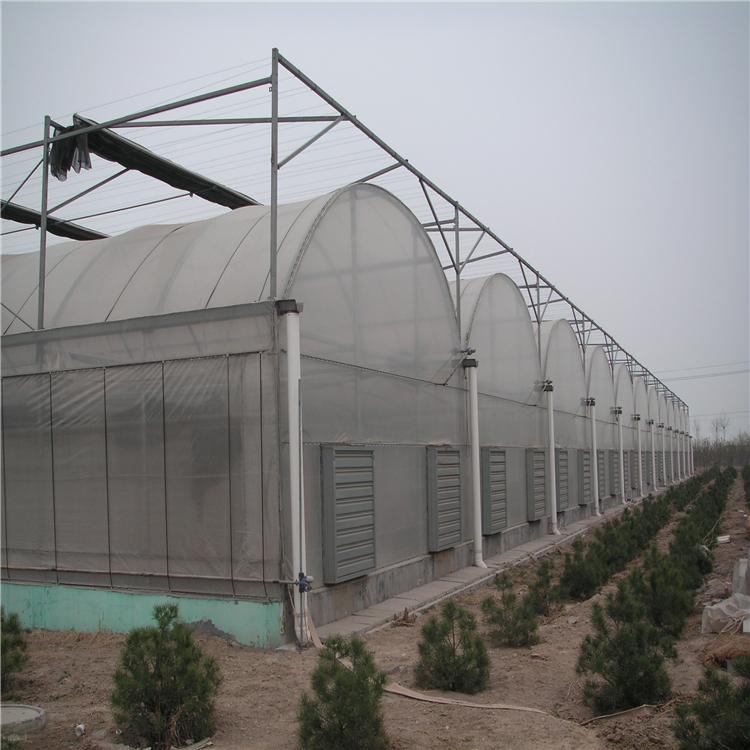 连栋大棚造价多少  蔬菜温室造价多少钱  蔬菜大棚的建设