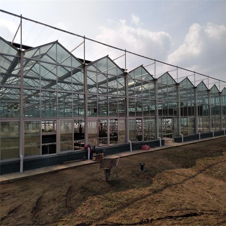 蔬菜阳光板温室大棚公司 阳光板温室报价 阳光板温室大棚工程 北方园艺温室