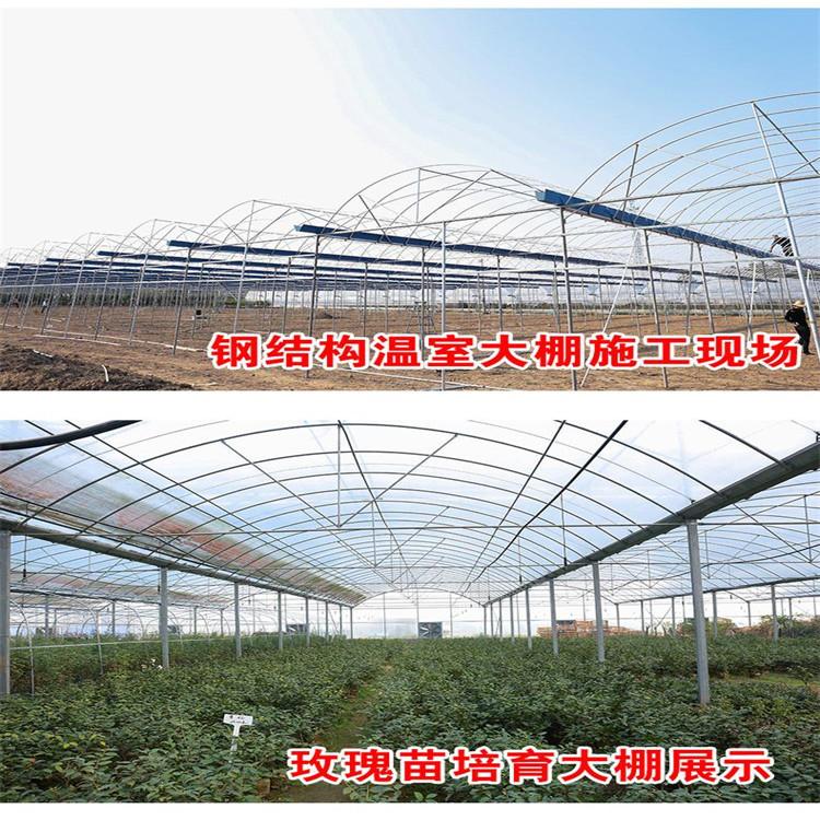 蔬菜苗木连栋大棚骨架 热镀锌钢管蔬菜骨架 抗腐蚀温室大棚骨架