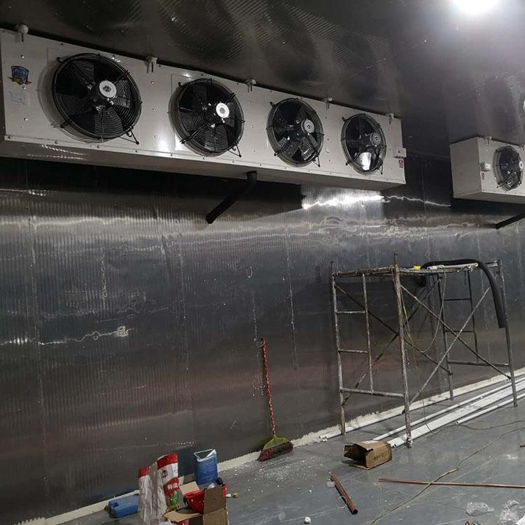 40尺20尺冷藏集装箱冷冻库 大型冻库厂家定制 厂家直销 品质保证