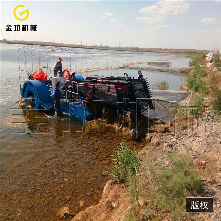 广西中型全自动水草收割船    水浮莲打捞船电动割草船现货