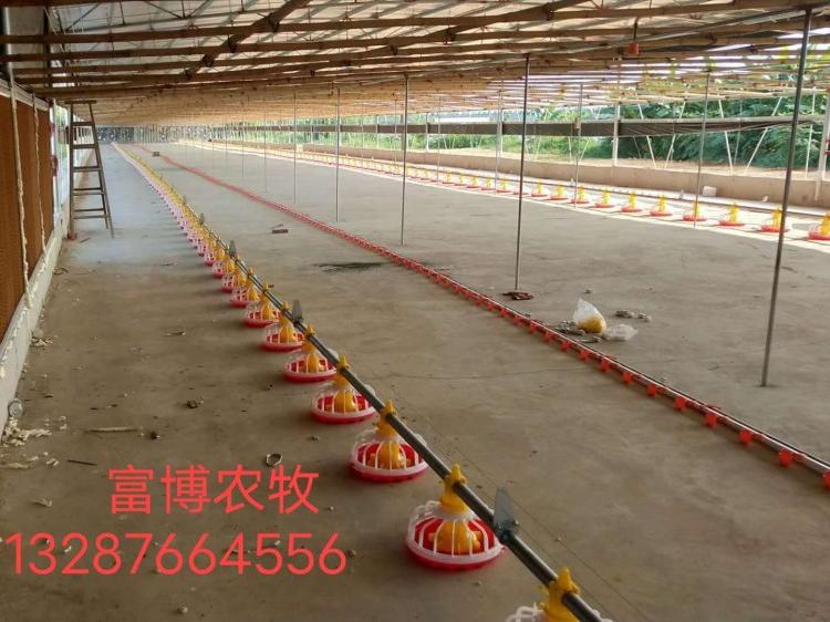 山东富博供应养鸡料线 水线  自动平养料线  养鸭料线 料线配件 控料器