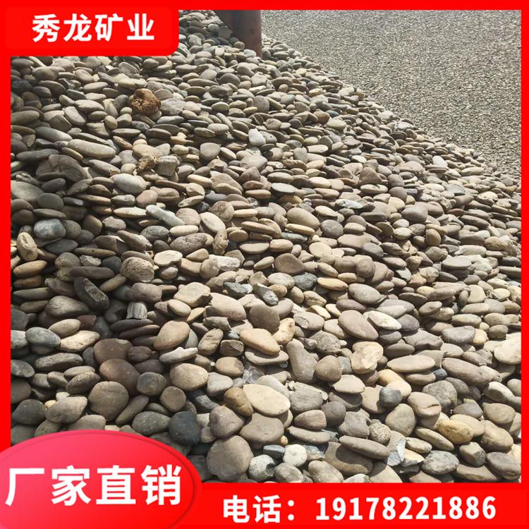 园林石用料 天然鹅卵石普通鹅卵石 鹅卵石批发
