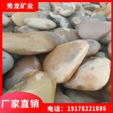 鹅卵石批发 园林石用料天然鹅卵石 普通鹅卵石