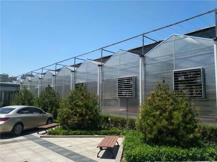 阳光板温室建造 靠谱的阳光板温室设计  阳光板温室  龙玺温室