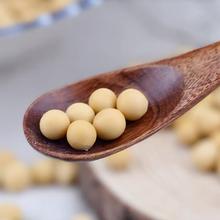 非转基因大豆 阳光嘉里郑1307大豆原粮高蛋白优质大豆 大豆原粮  厂家直销