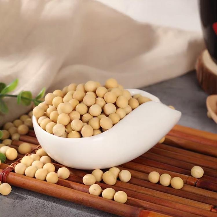 阳光嘉里 热销郑1307大豆原粮高蛋白优质大豆 颗粒饱满