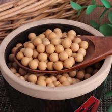 阳光嘉里 热销郑1307高蛋白优质大豆  精挑细选 颗粒饱满优质大豆