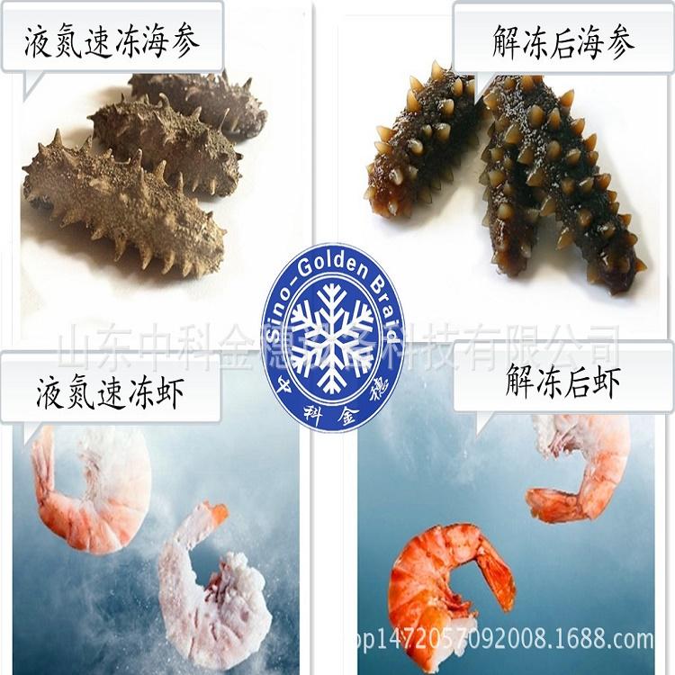 小龙虾速冻机 大型海鲜速冻机  支持定制  液氮速冻机厂家 