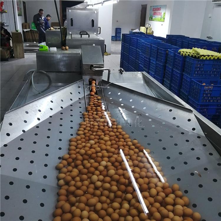 多功能节约型新品鸡蛋清洗机 皮蛋节水型清洗设备