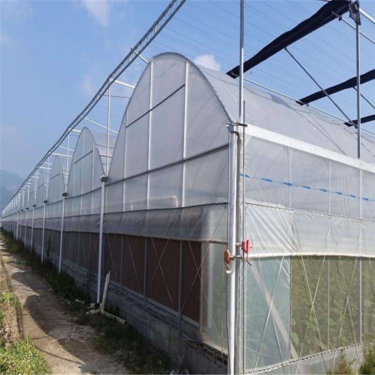 智能温室 承建玻璃薄膜温室大棚 承接蔬菜花卉农业大棚