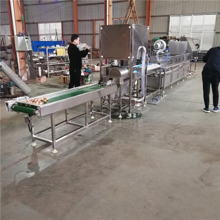 斯美特皮蛋节水型清洗设备 多功能节约型新品鸡蛋清洗机 皮蛋节水型清洗设备