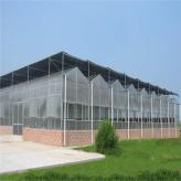 文洛阳光板温室大棚建造 农业养殖阳光板温室大棚 连栋阳光板pc温室价格