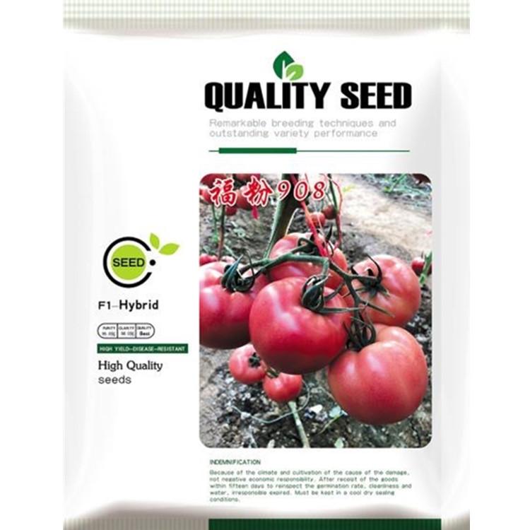 抗褪绿福粉908西红柿种苗 新品种早春秋延西红柿苗耐储运 方便运输