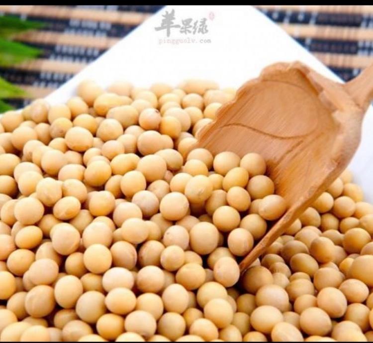 2020年新品大豆 高蛋白大豆 大豆原粮 阳光嘉里郑1307高产大豆 价格合理 厂家直销 价格合理