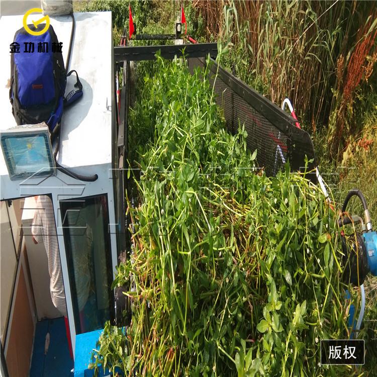 池塘水库全自动半自动割草船 大型割草船出租出售