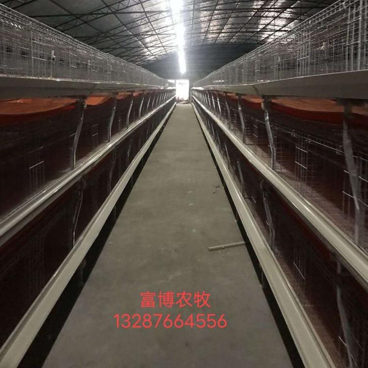 山东富博供应鸡笼肉鸡笼元宝笼养鸡设备养鸡场用自动清粪鸡笼