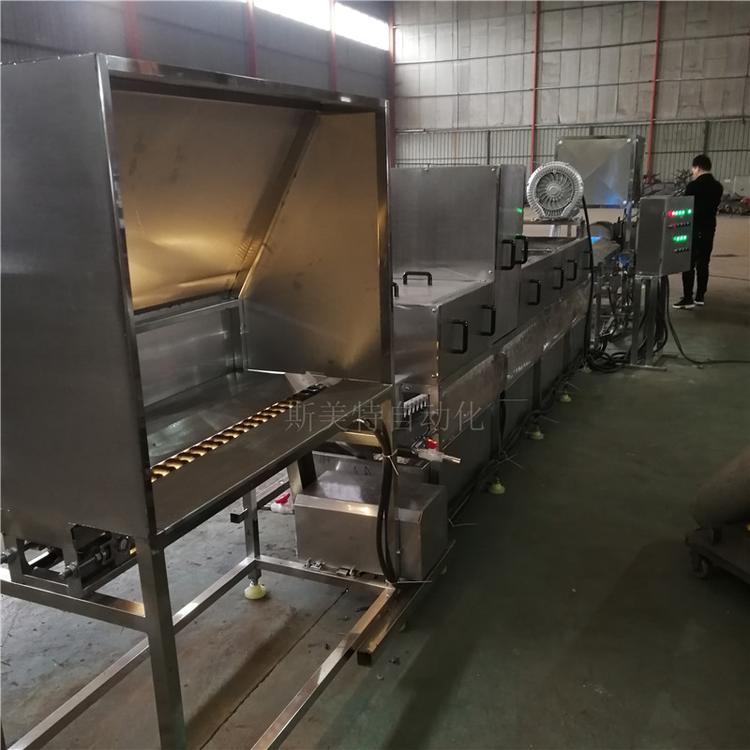 洗蛋机 多功能毛刷版鸡蛋清洗机 大型全自动洗蛋机 厂家价格