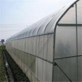薄膜连栋温室建造 定制连栋薄膜温室 温室大棚工程 北方园艺温室
