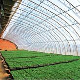 日光温室大棚农业项目 玻璃温室骨架安装报价 骨架大棚建设
