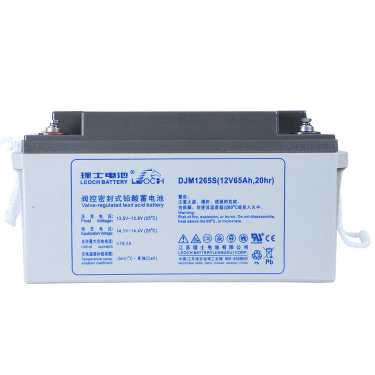 理士蓄电池DJM1238S LEOCH蓄电池12V38AH 阀控式储能UPS直流屏蓄电池